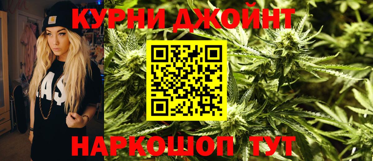 Конопля конопля Ессентуки